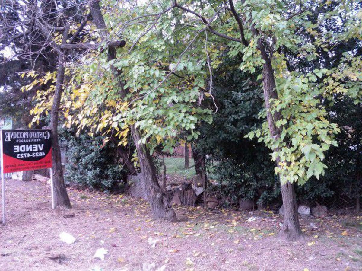  Land in Ituzaingo, Argentina No. 30738