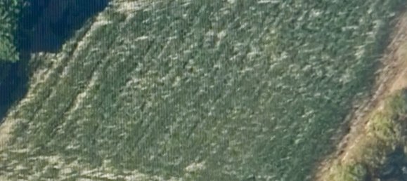 5692m² Land in Nogent-le-Bernard, France No. 274462 3