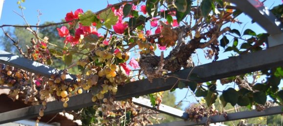 3 bedrooms Villa in Cunit, Spain No. 10927 17