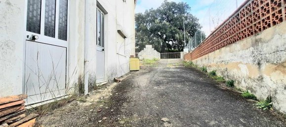 5 bedrooms House in Alcanede, Portugal No. 23914 24