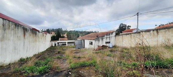 5 bedrooms House in Alcanede, Portugal No. 23914 44