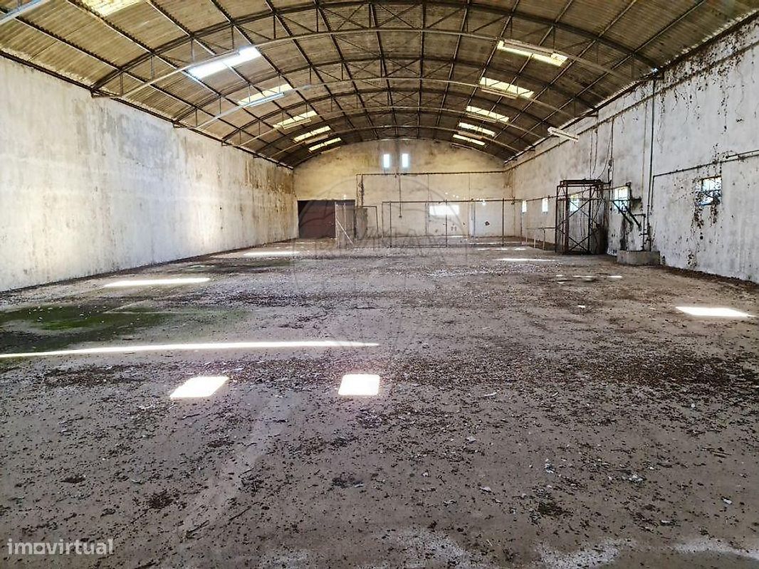 Lagerhaus in Sangalhos, Portugal 1200m², Nr. 249820