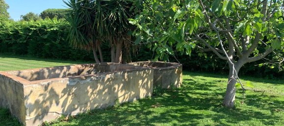 11 rooms Villa in Cascina, Italy No. 209373 24