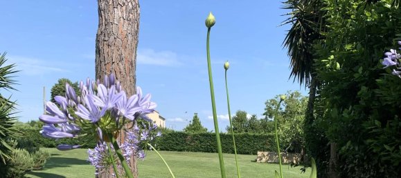 11 rooms Villa in Cascina, Italy No. 209373 22