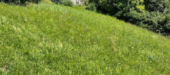 Terrain à Ybbsitz, Austria No. 64613 5