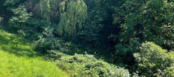 Terrain à Ybbsitz, Austria No. 64613 6