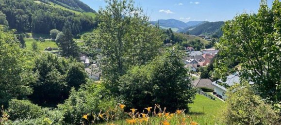 Terrain à Ybbsitz, Austria No. 64613 12