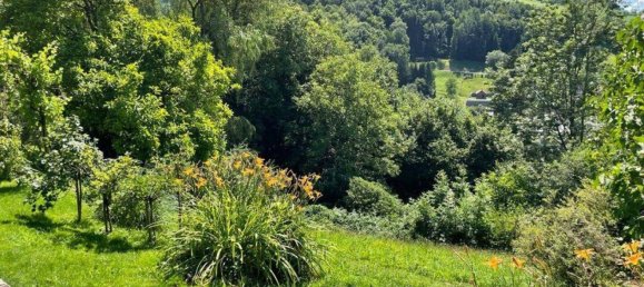 Terrain à Ybbsitz, Austria No. 64613 11
