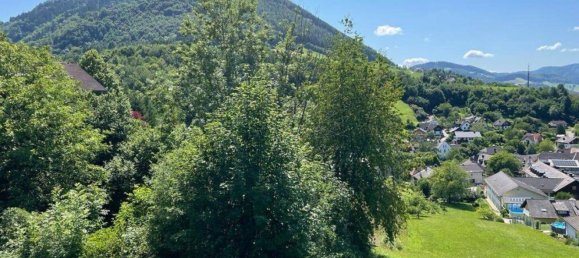 Terrain à Ybbsitz, Austria No. 64613 9