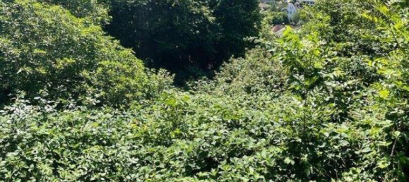 Terrain à Ybbsitz, Austria No. 64613 7