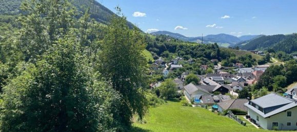 Terrain à Ybbsitz, Austria No. 64613 4