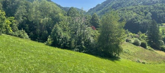 Terrain à Ybbsitz, Austria No. 64613 13