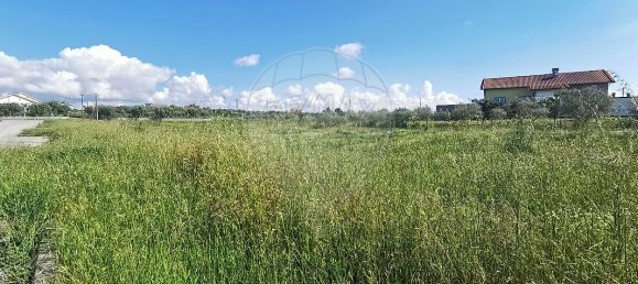 Grundstück in Lajeosa do Dao, Portugal 390m², Nr. 52730 4