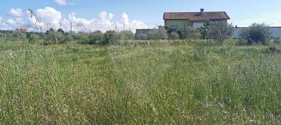 Grundstück in Lajeosa do Dao, Portugal 390m², Nr. 52730 3