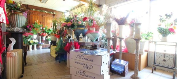 8-Zimmer Villa in Pavia, Italy, Nr. 64063 15