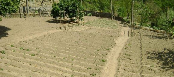 3 Schlafzimmer Haus in Marco de Canaveses, Portugal, Nr. 79982 16