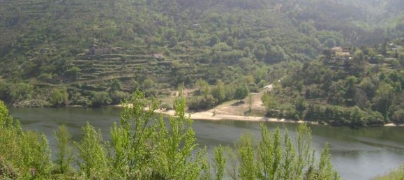 3 Schlafzimmer Haus in Marco de Canaveses, Portugal, Nr. 79982 6