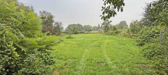 2 rooms Townhouse in Uckermark, Germany No. 363543 5