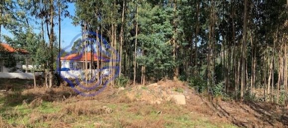 848m² Land in Caminha, Portugal No. 52901 8