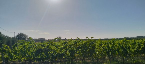 90000m² Land in Rome, Italy No. 260033 11