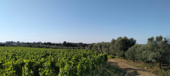 90000m² Land in Rome, Italy No. 260033 6