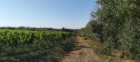 90000m² Land in Rome, Italy No. 260033 10