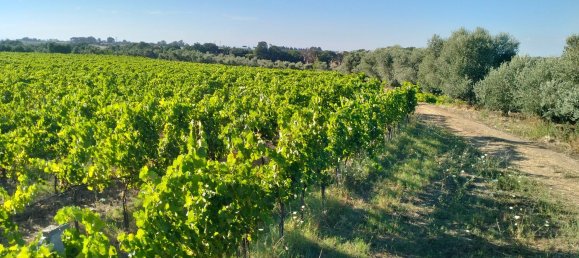 90000m² Land in Rome, Italy No. 260033 3