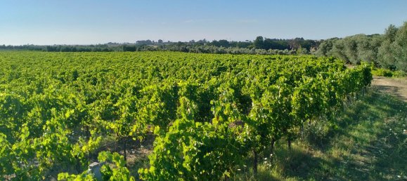 90000m² Land in Rome, Italy No. 260033 9