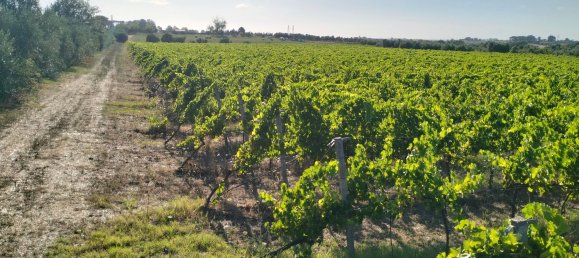 90000m² Land in Rome, Italy No. 260033 4