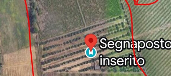 90000m² Land in Rome, Italy No. 260033 13