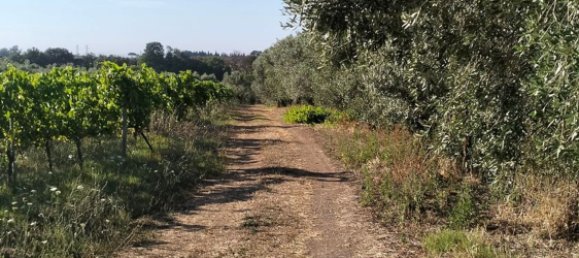 90000m² Land in Rome, Italy No. 260033 12
