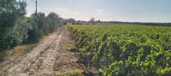 90000m² Land in Rome, Italy No. 260033 7