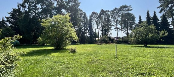  قطعة أرض في Barnim, Germany رقم 314299 2