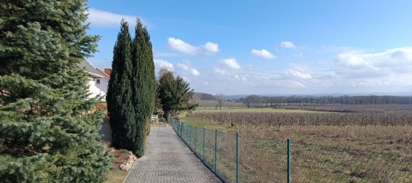 5-salle Maison à Gorlitz, Germany No. 10632 7