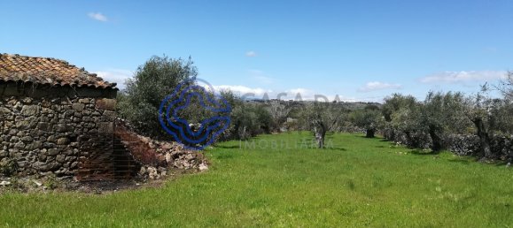 5 غرف نوم منزل في Oledo, Portugal رقم 74655 2