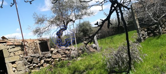 5 غرف نوم منزل في Oledo, Portugal رقم 74655 41