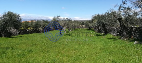 5 غرف نوم منزل في Oledo, Portugal رقم 74655 9