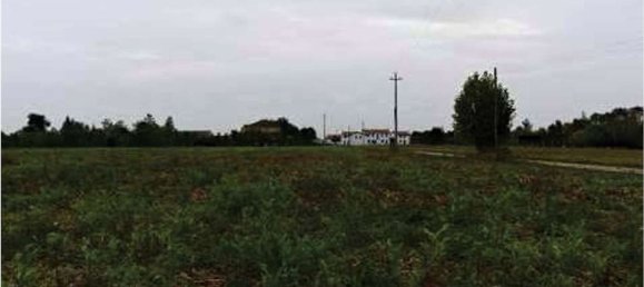 Terrain à Vedelago, Italy 44886m² No. 278522 3