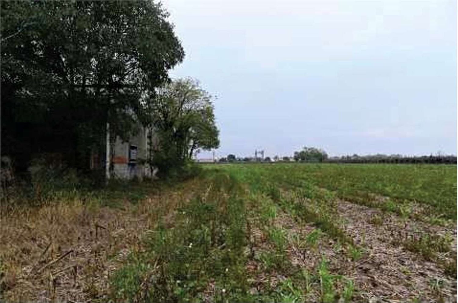 Terrain à Vedelago, Italy 44886m² No. 278522