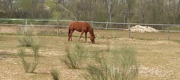 قطعة أرض في Valdetorres de Jarama, Spain 26000متر مربع رقم 182476 3