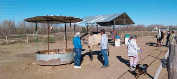 قطعة أرض في Valdetorres de Jarama, Spain 26000متر مربع رقم 182476 4