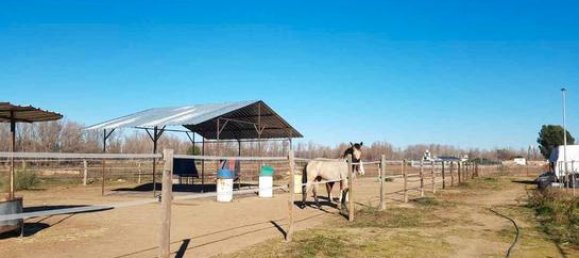 قطعة أرض في Valdetorres de Jarama, Spain 26000متر مربع رقم 182476 5