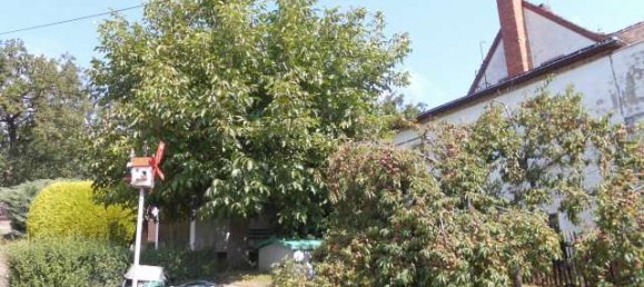 4 bedrooms House in Leipzig, Germany No. 272289 9