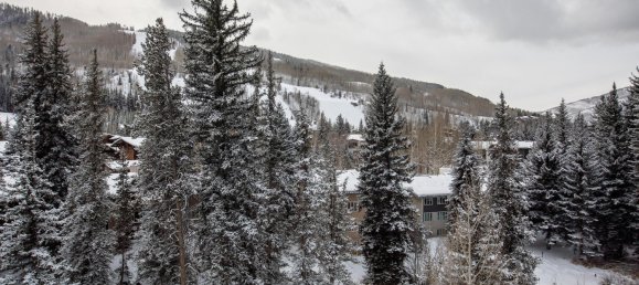 2 Schlafzimmer Cafe / Restaurant in Vail, USA, Nr. 45 7