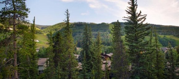 2 Schlafzimmer Cafe / Restaurant in Vail, USA, Nr. 45 17