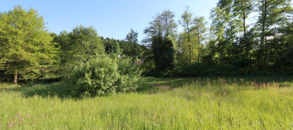 Земельный участок в Мария Вёрт, Австрия № 134416 8