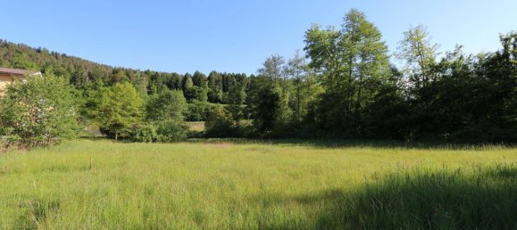 Земельный участок в Мария Вёрт, Австрия № 134416 11