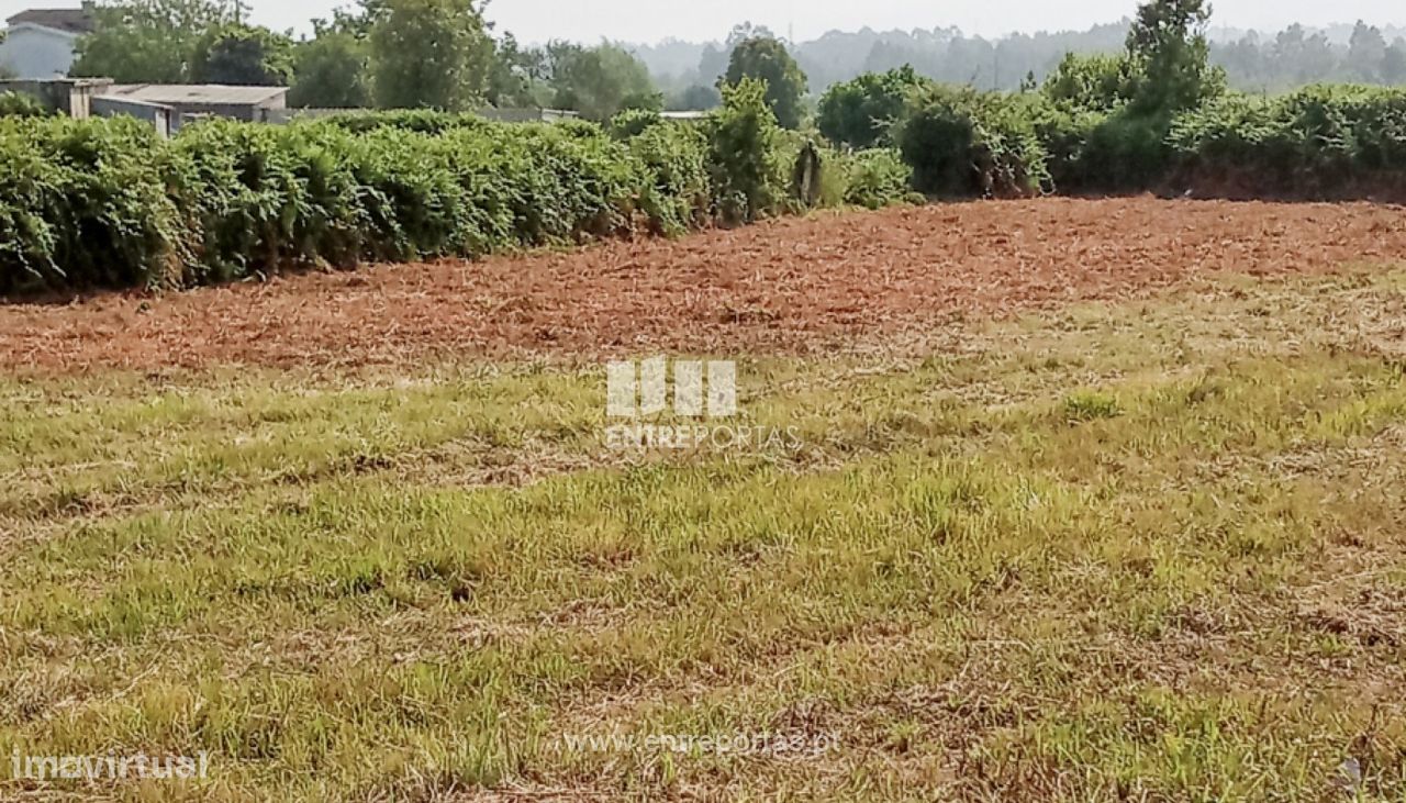 Terreno em Rio de Moinhos, Portugal 52 m² N.º 219614