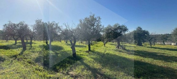 استوديو في Castellana Grotte, Italy رقم 23132 2