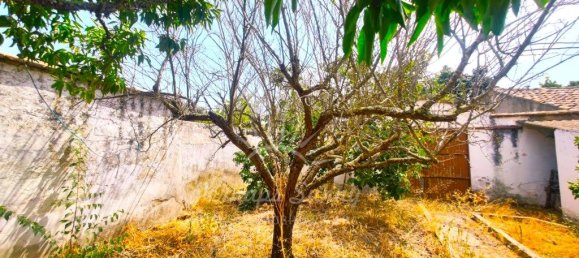 2 Schlafzimmer Haus in Grandola, Portugal, Nr. 297975 16